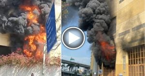 芭场惊见双尸！华裔年迈夫妇 同日死【内附音频】